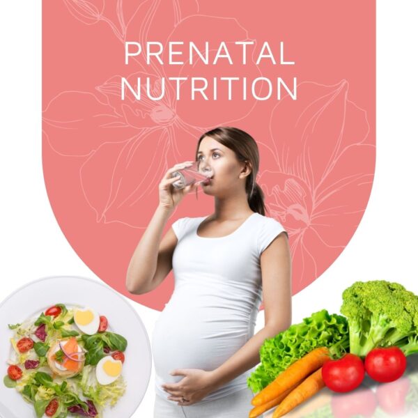 prenatal nutrition